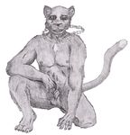  anthro balls black_and_white chain claws feline flaccid greyscale hindpaw kneeling looking_at_viewer male mammal monochrome necklace nude panther paws penis ray semiotica sheath solo 