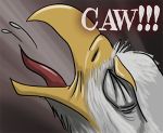  avian bird eagle feral icon moisteaglevent orgasm_face 
