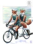  abstract_background bicycle bike canine couple duo female fox humor kacey male mammal smile tandem tired 
