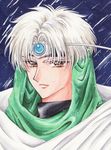  brown_eyes circlet eagle_vision magic_knight_rayearth male_focus marker_(medium) mayamuu millipen_(medium) portrait solo traditional_media white_hair 