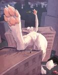 aircraft animancer anthro athletic athletic_female belly_nipples blep breasts building building_destruction clitoris destruction dipodid female foreshortening fur genitals helicopter hi_res jerboa leaning_on_building luck_(animancer) macro mammal nude paws rodent size_difference small_breasts tongue tongue_out vehicle vulva white_body white_fur