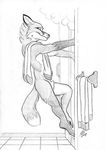  black_and_white canine fox inviting looking_at_viewer male mammal mekoryuk monochrome nude sheath shower steam towel 