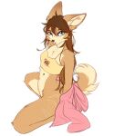 2026 5:6 anthro biped blush bottomless bottomless_anthro bottomless_female breasts canid canine canis clothed clothed_anthro clothed_female clothing cotton_(yshanii) countershade_torso countershading digital_drawing_(artwork) digital_media_(artwork) dingo female fur hair hi_res kneeling long_hair looking_at_viewer mammal navel open_mouth partially_clothed partially_clothed_anthro partially_clothed_female simple_background solo tail tongue topwear topwear_only yshanii