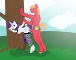  anthrofied big big_macintosh_(mlp) blush cutie_mark duo equine female friendship_is_magic horn horse little macintosh male mammal my my_little_pony penetration pony rarity_(mlp) sex sotoco straight unicorn vaginal vaginal_penetration 