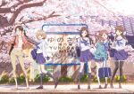 5girls adjusting_hair bag belt black_hair black_thighhighs blonde_hair blue_neckerchief blue_sky braid branch brown_hair brown_pants building cherry_blossoms day drill_hair flower full_body grass hair_flower hair_ornament hanasaku_iroha high_heels holding holding_bag house jacket loafers location_name long_hair looking_at_another low_twin_braids matsumae_ohana medium_hair multiple_girls neckerchief official_art oshimizu_nako outdoors pants pink_jacket pleated_skirt purple_skirt purple_socks road_sign sailor_collar school_uniform serafuku shoes short_hair shoulder_bag sign skirt sky smile socks standing straight_hair sunlight tank_top thighhighs train_station tree tsurugi_minko twin_braids wajima_tomoe wakura_yuina white_belt white_socks yellow_flower 
