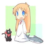  aoba_(kmnm3234) black_cat blue_eyes blush cat labcoat long_hair nichijou open_mouth orange_hair professor_shinonome sakamoto_(nichijou) scarf shark smile 