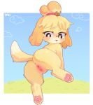 animal_crossing anus blonde_hair bodily_fluids butt canid canine canis digitigrade domestic_dog eyelashes female genital_fluids genitals hair hi_res isabelle_(animal_crossing) mammal nintendo nude pawpads pink_pawpads pink_paws presenting presenting_vulva shih_tzu solo sweat tail text thick_thighs toy_dog ttaki tuft vaginal_fluids vulva yellow_body