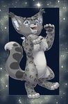  ambiguous_gender blue_eyes cub feline feral hibbary lynx mammal night solo star young 
