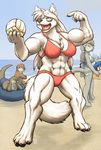  beach big_breasts bikini blue_eyes breasts canine cat clothed clothing feline female male mammal muscles muscular_female mustelid otter rick_griffin seaside skimpy swimsuit volleyball wolf 