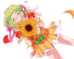  bad_id bad_pixiv_id belt bouquet bow dutch_angle flower goggles goggles_on_head green_hair gumi hair_bow petals red_flower red_rose rose short_hair skirt smile solo sunflower uryu vocaloid 