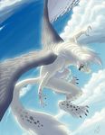  cloud clouds dragon feral flying fur hibbary sky white white_fur wings 