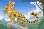  feline hibbary jaguar jungle male mammal rock solo 