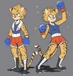  2018 anthro ash_(yeahbeezii) athletic band-aid bandage beezii boxing boxing_gloves breasts brown_eyes cheetah chest_tuft clothed clothing digital_media_(artwork) duo felid feline female frown fur grey_background hi_res looking_at_viewer mammal muscular muscular_female shirt simple_background sketch_page smile sparkles sport spots spotted_fur standing sweat sweatdrop tank_top teeth towel tuft 