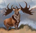 2025 agustindiazart animal_genitalia antlers brown_body brown_eyes brown_fur cervine cloud deer feral fully_sheathed fur genitals grass hi_res horn huge_antlers looking_aside male mammal megaloceros mountain multicolored_body multicolored_fur nature outside plant prehistoric_species quadruped sheath solo standing tan_body tan_fur white_body white_fur