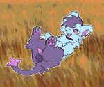 anus balls blush blush_lines colored delsyn_(veevobyte) digital_media_(artwork) feral fluffy fur fur_markings generation_4_pokemon genitals glistening gynomorph hair hair_over_eye intersex markings nintendo pawpads paws penile_spines penis pokemon pokemon_(species) shinx simple_background smile solo tail trans_(lore) trans_woman_(lore) vedacia