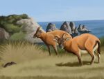 2025 4:3 agustindiazart blue_sky brown_body brown_fur day eating_grass feral fur grass group hi_res horn island looking_at_viewer multicolored_body multicolored_fur myotragus nature orange_eyes outside plant rock sea sky tan_body tan_fur trio water white_body white_fur