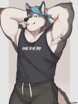 anthro armpit_hair armpit_tuft athlete backwards_baseball_cap backwards_cap backwards_hat barazoku baseball_cap bedroom_eyes biceps big_muscles big_pecs black_bottomwear black_clothing black_pants black_shirt black_sweatpants black_topwear blep blue_baseball_cap blue_clothing blue_eyes blue_hat blue_headwear body_hair bottomwear canid canine canis chest_hair chest_tuft clothing drawstring drawstring_hoodie drawstring_pants flirting flirting_look flirting_with_viewer fur grey_body grey_fur grin grinning_at_viewer hands_behind_head hands_behind_own_head hat headgear headwear hi_res inviting inviting_to_sex inviting_viewer jock looking_at_viewer male mammal manly maoshark muscular muscular_anthro muscular_arms muscular_male muscular_thighs narrowed_eyes offering_sex offering_to_viewer pants pecs pose presenting presenting_armpit presenting_body presenting_pecs raised_arms seducing_viewer seductive shirt showing_off_muscles smile smiling_at_viewer solo standing sweatpants tail thick_arms thick_thighs tongue tongue_out topwear tuft white_body white_fur wolf