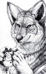  anthro canine flask hibbary indian male mammal monochrome musical_instrument ocarina portrait smile solo wolf 
