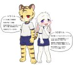 2026 absurd_res ambiguous_gender barefoot blue_bottomwear blue_clothing blue_eyes blue_shorts blush bodily_fluids bottomwear clothing duo feet felid happy heart_symbol hi_res japanese_text lagomorph looking_at_viewer mammal open_mouth pantherine red_eyes serious shirt shorts sweat tail text tiger topwear tora-kun_(zaramecatnyar) translated usagi-kun_(zaramecatnyar) white_clothing white_shirt white_topwear zaramecatnyar