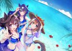  3girls adjusting_eyewear alternate_costume animal_ears beach bikini black_jacket blue_bikini blue_eyes blue_hair blue_sarong blush breasts brown_hair cheval_grand_(umamusume) cleavage closed_mouth commentary_request ear_covers ears_through_headwear eyewear_on_head flower hair_between_eyes hair_bun hat hat_flower highres holding holding_swim_ring horse_ears horse_girl horse_tail jacket large_breasts long_hair medium_breasts mole mole_under_eye multicolored_hair multiple_girls navel ocean one_eye_closed open_mouth outdoors sarong see-through_clothes see-through_jacket single_ear_cover smile stomach straw_hat streaked_hair sun_hat sunglasses swim_ring swimsuit tail taniko_shanokoya umamusume v_sisters verxina_(umamusume) vivlos_(umamusume) water white_hair white_streaks 