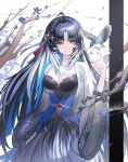  1girl absurdres ahoge artist_name bird bird_on_hand black_dress black_hair blue_eyes blue_hair breasts chinese_commentary closed_mouth colored_inner_hair commentary_request cowboy_shot dress feather_hair hair_intakes hair_ornament hand_up highres jacket long_hair long_sleeves looking_at_animal medium_breasts multicolored_hair parted_bangs shale smile solo white_jacket wide_sleeves wuthering_waves yangyang_(wuthering_waves) yangyang_(xuanling)_(wuthering_waves) 