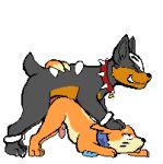 abdominal_bulge against_floor anal anal_penetration animal_genitalia animal_penis animated animated_gif ass_up back_markings bodily_fluids buizel butt_jiggle canine_genitalia canine_penis claws clenched_teeth collar curling_toes digital_media_(artwork) doggystyle duo eyes_closed face_squish feet feral feral_on_feral feral_penetrated feral_penetrating feral_penetrating_feral from_behind_position generation_2_pokemon generation_4_pokemon genitals hand_on_head houndour jiggling junk_(junkhoundour) male male/male markings motion_blur motion_lines narrowed_eyes nintendo penetration penis pixel_(artwork) pixel_animation pokemon pokemon_(species) pushing_down pushing_head raised_tail sex short_playtime soggy_(soggybuizel) spiked_collar spikes squish tail tears teeth toe_claws tongue tongue_out yutz_(artist)