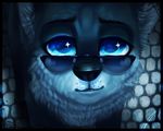  abstract_background black_nose blue_eyes blue_theme canine cool_colors eyewear imalou looking_at_viewer male mammal solo stanilas stars sunglasses wolf 