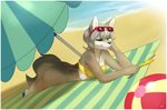  bikini bottomless canine clothed clothing eyewear female half-dressed heterochromia lintu looking_at_viewer mammal seaside skimpy solo sunbathing sunglasses swimsuit wolf 