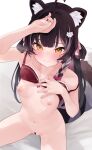  1girl absurdres ahoge animal_ear_fluff animal_ears arm_up bandaid bandaid_on_cheek bandaid_on_face bar_censor black_hair blush bottomless bow bra bra_lift braid breasts censored closed_mouth clothes_lift colored_inner_hair commentary commission english_commentary facial_mark genmai_komeko hair_bow heart highres indie_virtual_youtuber long_hair looking_at_viewer mons_pubis multicolored_hair navel nipples pink_bow pink_hair raccoon_ears raccoon_girl raccoon_hair_ornament raccoon_tail raki_kazuki red_bra second-party_source side_braid simple_background sitting small_breasts solo strap_slip tail underwear underwear_only virtual_youtuber whisker_markings white_background yellow_eyes 