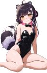  1girl absurdres ahoge alternate_costume animal_ear_fluff animal_ears azuki_(azuki_azukki) bandaid bandaid_on_cheek bandaid_on_face bare_arms bare_legs bare_shoulders black_bow black_bowtie black_hair black_leotard bow bowtie braid breasts closed_mouth colored_inner_hair commentary commission detached_collar english_commentary facial_mark highleg highleg_leotard highres indie_virtual_youtuber leotard long_hair looking_at_viewer multicolored_hair nontraditional_playboy_bunny pink_hair playboy_bunny raccoon_ears raccoon_girl raccoon_hair_ornament raccoon_tail raki_kazuki second-party_source side_braid sitting small_breasts smile solo strapless strapless_leotard tail transparent_background virtual_youtuber whisker_markings yellow_eyes yokozuwari 