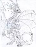  feral hibbary horn scalie sketch smile solo wings 