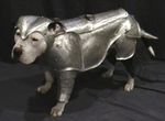  amazing ambiguous_gender armor canine dog feral helmet k9 knight mammal medieval medieval_armor metal photo real solo 