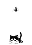  1boy :< absurdres animal_ears antenna_hair black_eyes black_hair black_socks black_tank_top cat_boy cat_ears cat_tail chibi chibi_only closed_mouth colored_skin commentary_request double-parted_bangs hair_between_eyes highres kemonomimi_mode light_bulb looking_at_viewer lying male_focus manimani_(mani_ma) omori omori_(omori) on_stomach short_hair shorts simple_background socks solo striped_clothes striped_shorts tail tank_top vertical-striped_clothes vertical-striped_shorts white_background white_shorts white_skin 