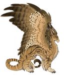  blue_eyes brown brown_feathers brown_fur dragon feral fur hibbary plain_background solo wings 
