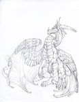  2010 aversion black_and_white dragon feathers feral hibbary monochrome pencil scales sketch solo wings 