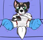 bored canine cub cute diaper dog green_eyes infantilism kalida looking_at_viewer male mammal mieko remote sofa solo xxxchaotickitty young 
