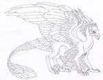  black_and_white dragon feral hibbary line_art monochrome plain_background sketch solo wings 