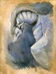  collar dragon feral fur furred_dragon hibbary horn portrait sad solo white white_feathers white_fur 