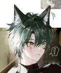  ! 1boy animal_ear_fluff animal_ears black_hair cat_boy cat_ears commentary green_eyes hair_between_eyes heterochromia jingran_(wuthering_waves) kemonomimi_mode male_focus marti_31 official_art_inset parted_lips portrait short_hair solo spoken_exclamation_mark tacet_mark_(wuthering_waves) untranslatable_commentary wuthering_waves yellow_eyes 