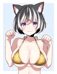  1girl :3 absurdres animal_ear_fluff animal_ears bare_shoulders bikini black_hair blush breasts cat_ears cat_girl cleavage collarbone commentary gold_bikini hair_between_eyes hanekawa_tsubasa highres large_breasts looking_at_viewer manimani_(mani_ma) monogatari_(series) multicolored_hair paw_pose purple_eyes short_hair simple_background skindentation smile solo swimsuit upper_body white_hair 