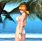  3d back bikini braid dead_or_alive kasumi_(doa) name_(nahopa!) ocean palm_tree single_braid solo swimsuit tree 
