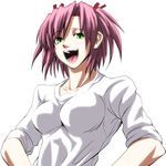  blush breasts green_eyes hair_ribbon hands_on_hips imizu_(nitro_unknown) laughing mahou_sensei_negima! medium_breasts pink_hair ribbon sasaki_makie short_hair short_twintails sleeves_rolled_up solo teeth tongue twintails 