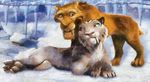 diego diego_(ice_age) feline female feral fur ice_age male mammal orange_fur sabertooth shira shira_(ice_age) smilodon tiger white_fur 
