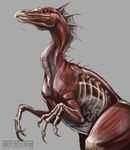  dino dinosaur internal ornithomimus ovi rotarr scalie translucent undead zombie 