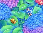  bad_id bad_pixiv_id blue_eyes blue_hair cape cloak colored_pencil_(medium) colorful dew_drop eye_contact flower hoshina_(kinoko) hydrangea leaf looking_at_another minigirl one_eye_closed original short_hair shorts snail traditional_media water water_drop 