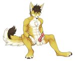  abs anthro balls biceps canine chest_tuft claws ebikyun erection fennec fox fur grey_eyes hair looking_at_viewer male mammal masturbation muscles nude pecs penis plain_background pose prawn sitting smile solo suranei_(character) tuft valderic_blackstag vein white_background 