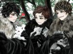  a_song_of_ice_and_fire bad_id bad_pixiv_id black_eyes black_gloves black_hair blue_eyes blush brown_hair cape dog fur_trim ghost_(a_song_of_ice_and_fire) gloves grey_wind heart jon_snow lady_(a_song_of_ice_and_fire) male_focus multiple_boys nymeria_(a_song_of_ice_and_fire) puppy red_hair robb_stark shaggydog_(a_song_of_ice_and_fire) siuuu theon_greyjoy wolf 