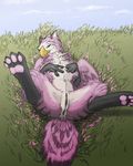  avian beak bedroom_eyes black_pussy feathers female feral flower grass gryphon inviting looking_at_viewer meadow morca nature nude outside pinup presenting pussy seductive solo 