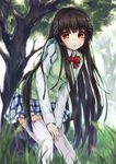  black_hair bow cardigan grass long_hair modose_ruruki orange_eyes original plaid plaid_skirt school_uniform skirt solo thighhighs tree white_legwear zettai_ryouiki 