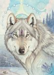  acrylic canine color colored fantasy feral golden goldenwolf looking_at_viewer male mammal outside pencils solo spiritual traditional traditional_media water wolf wolf-of-samhain 
